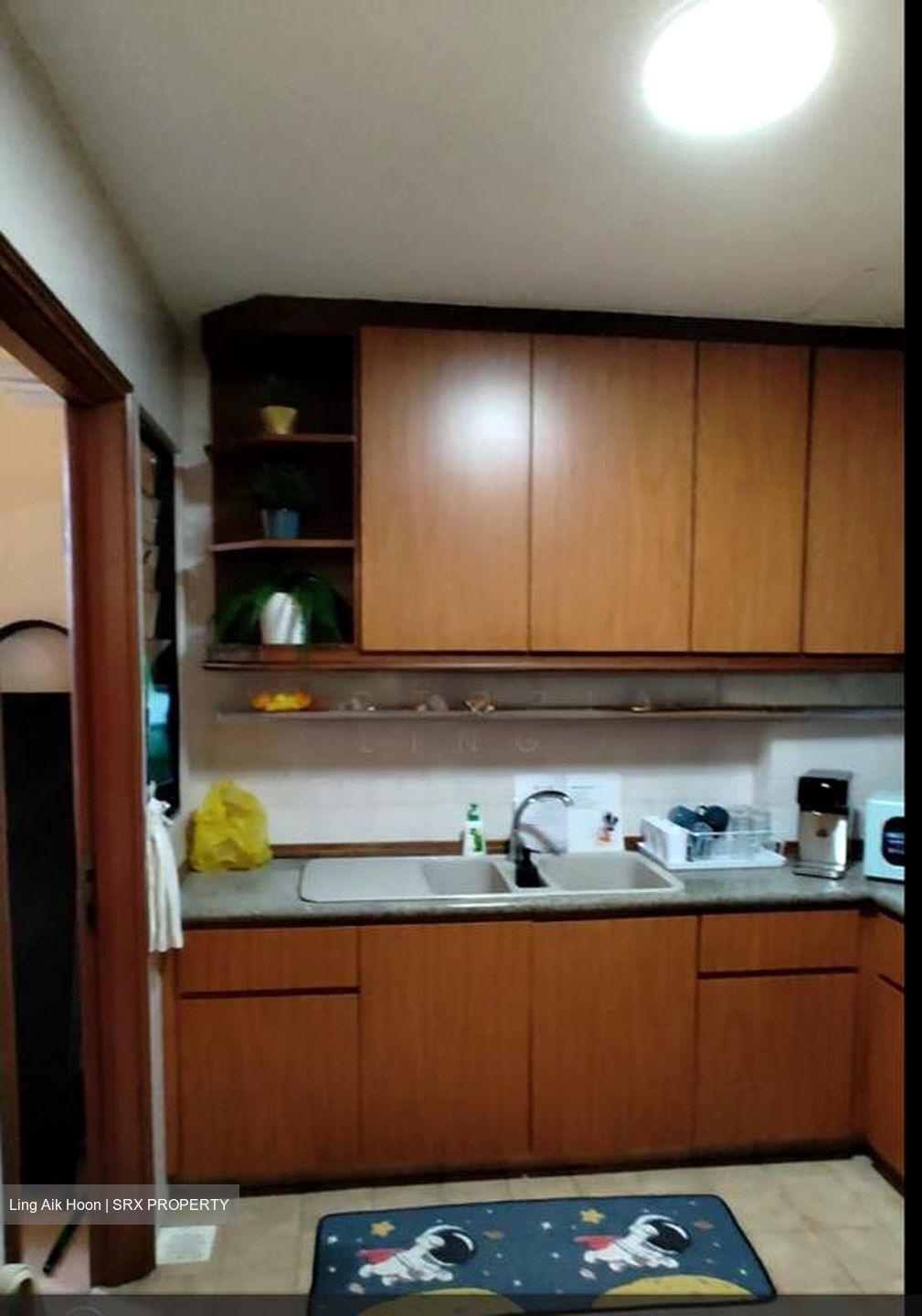 Dover Parkview (D5), Condominium #501914041